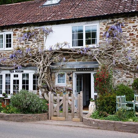 Bed and Breakfast The Bark House Oakford Экстерьер фото