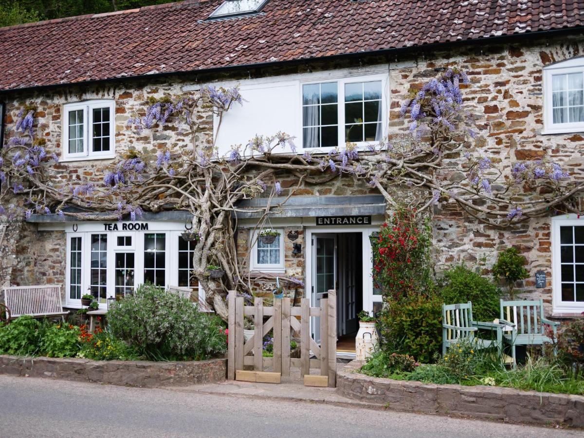 Bed and Breakfast The Bark House Oakford Экстерьер фото